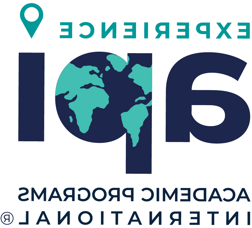 API 学术项目 International logo 